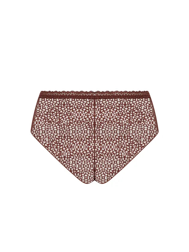 ShortyEXQUISEECJ0447CACappuccio__4