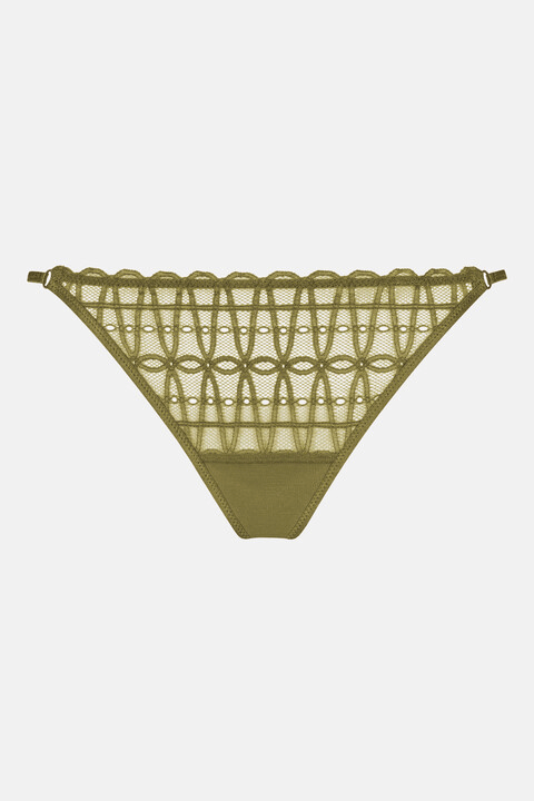 String13200031785goldenfern__3